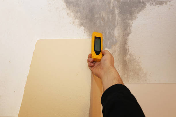 Pembroke, GA Mold Inspection, Removal & Remediation Company