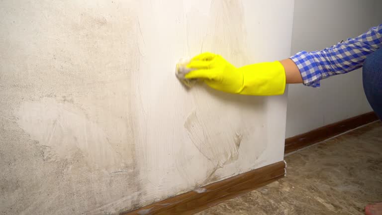 Best Emergency Mold Remediation  in Pembroke, GA